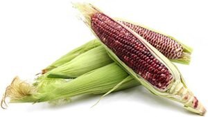 Red Corn/maize For Sale