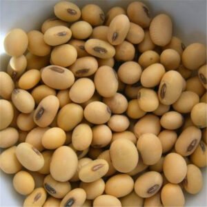 Soya Beans/soybeans