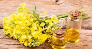 Refined Bleached Deodorized (rbd) Canola Oil