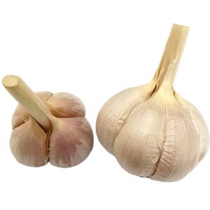 Clove Garlic