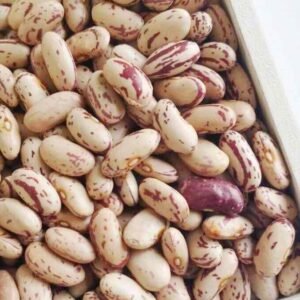 Light Speckled Kidney Beans