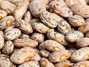 Pinto Beans